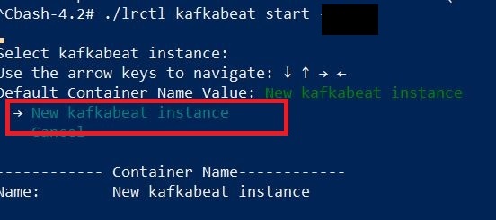 kafkabeat_start.JPG