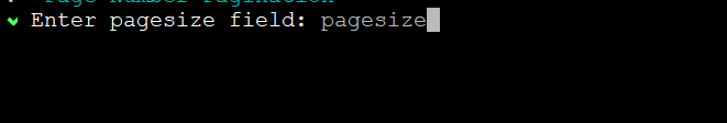 pg_pagesizeField.PNG