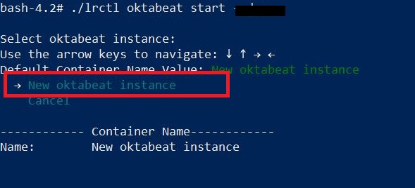 instance1.JPG